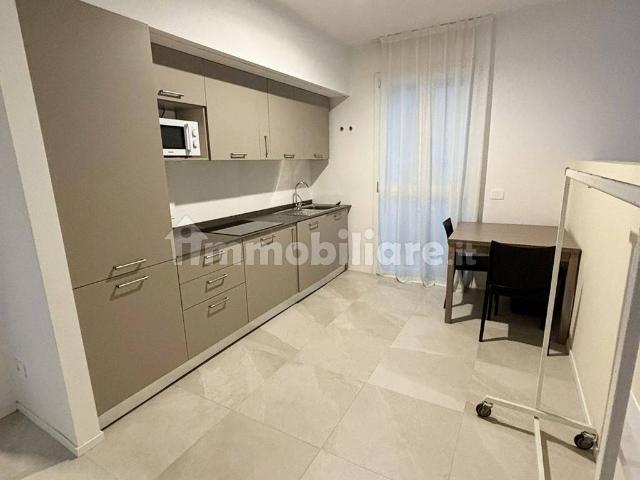 Monolocale viale Riccardo e Pietro Barilla 28, San Lazzaro, Parma