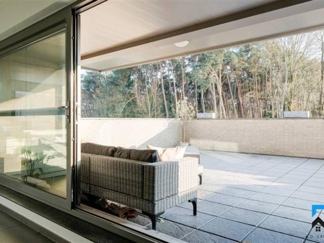 Mooi appartement met ruim terras in Houthalen Oost