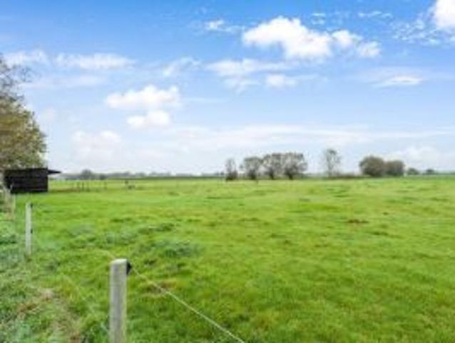 Mooi stuk weiland met 8 paardenstallen en rijpiste van ru.