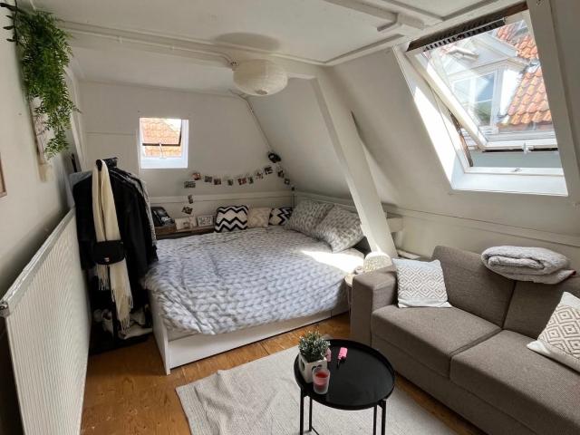 Mooie kamer in een geweldig studentenhuis!