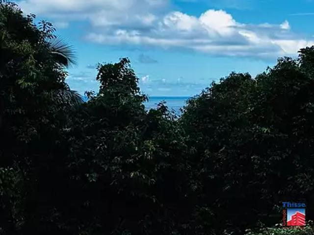 Moorea Maiao 98728 Achat / Vente terrain