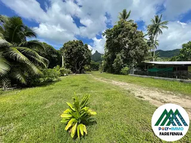 Moorea Maiao 98728 Achat / Vente terrain