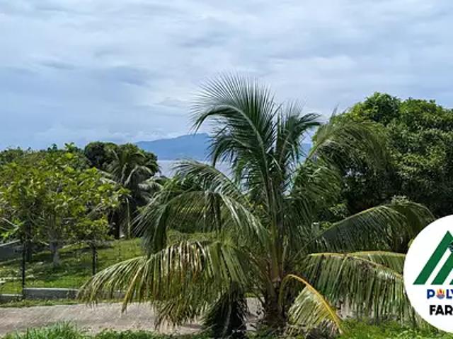 Moorea Maiao 98728 Achat / Vente terrain
