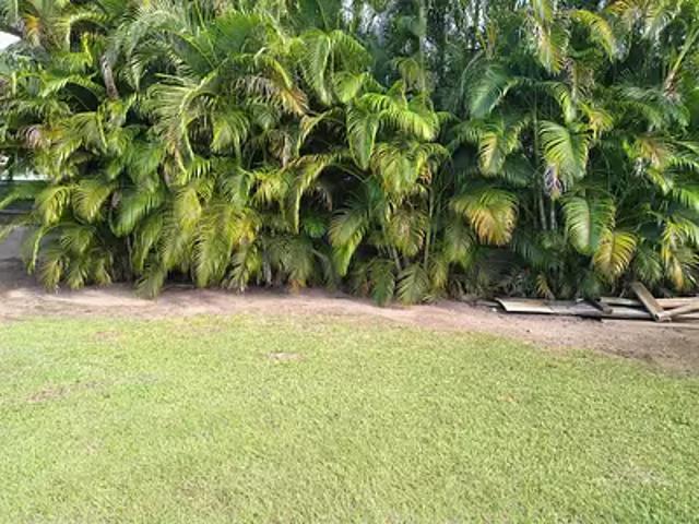 Moorea Maiao 98728 Achat / Vente terrain