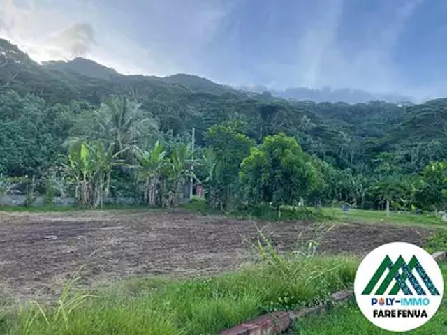 Moorea Maiao 98728 Achat / Vente terrain