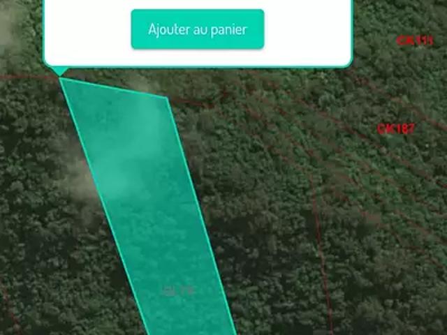 Moorea Maiao 98728 Achat / Vente terrain