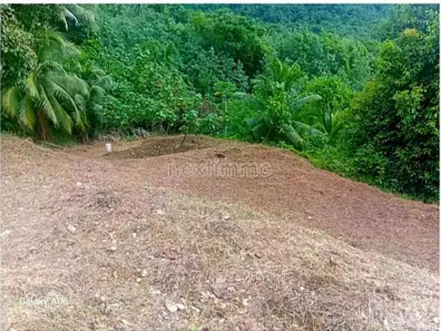 Moorea Maiao 98728 Achat / Vente terrain