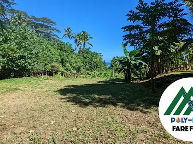 Moorea Maiao 98729 Achat / Vente terrain