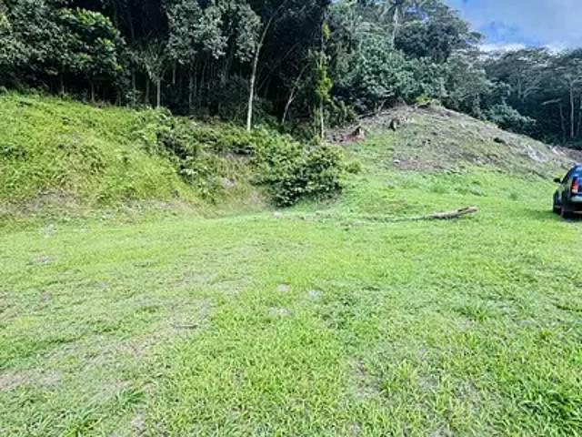 Moorea Maiao 98729 Achat / Vente terrain