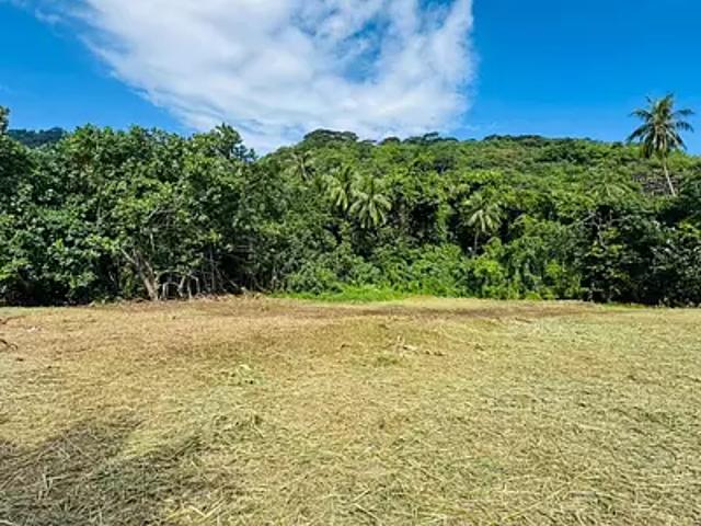 Moorea Maiao 98729 Achat / Vente terrain