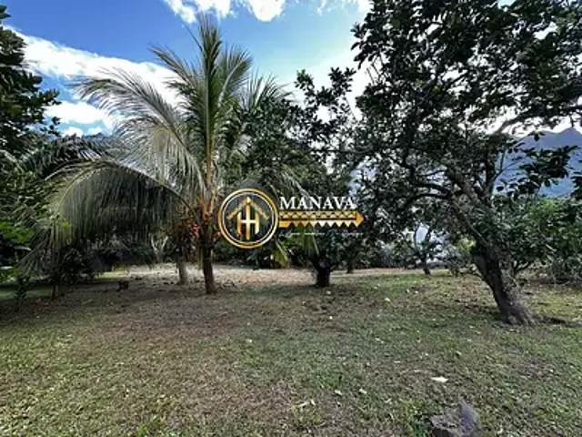 Moorea Maiao 98729 Achat / Vente terrain