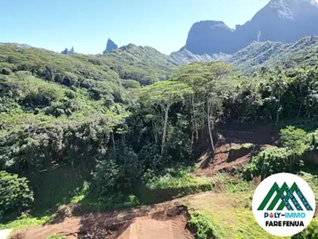 Moorea Maiao 98729 Achat / Vente terrain