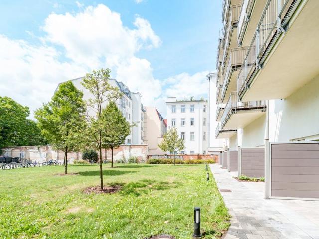 Möbilierte Erdgeschoss Wohnung zur Miete in Dresden Neustadt – Wentzel Dr