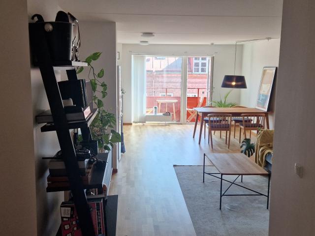 Möblerad/omöblerad 2: a på Arkivgatan i Lund – upp 55 m² 10 500 kr