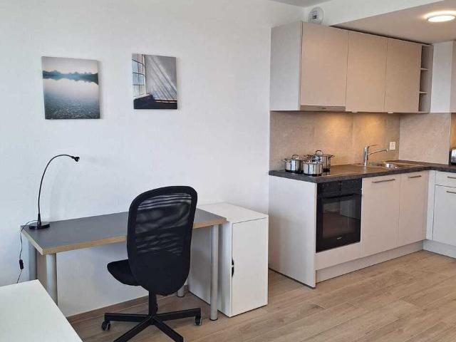 Möbliertes und ausgestattetes Studio in Lausanne