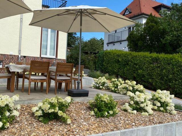 Möbliert/Furnished Einfamilienhaus mit großem Grundstück in Dresden Wachwitz max. 6 Personen
