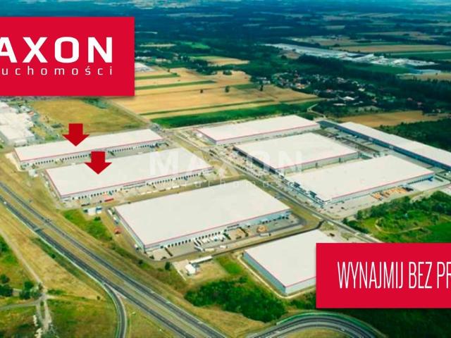 Moduł magazynowy 4149 m² z biurami, dokami i wysokim składem
