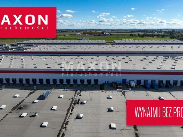 Moduł magazynowy 9588 m² z biurami, wysokie składowanie