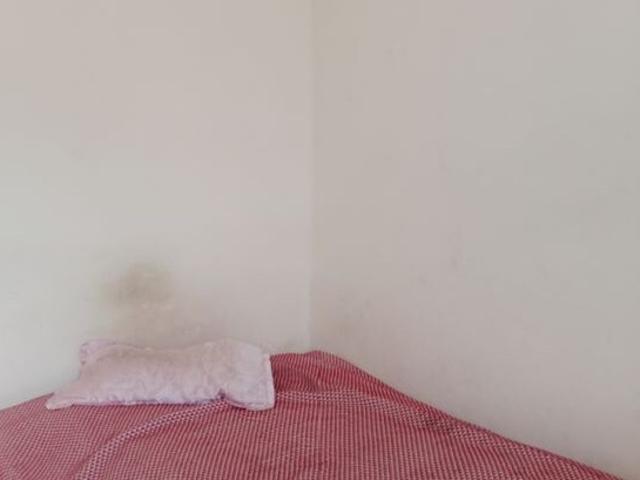 Model Town, Panipat Central 2 Bedroom 344 Sq. Ft. Builder Floor in Model Town Panipat Listing ID: #10409