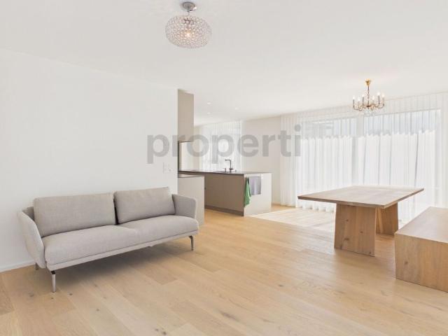 Modern 3.5 room furnished apartment with 2 balconies, with lake and mountain views in Pfäffikon ZH