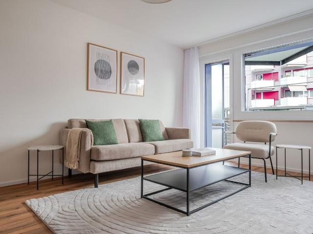 Modern 3 Bedroom Furnished Apartment in Dietikon, Dietikon Amsterdam Apartments for Rent