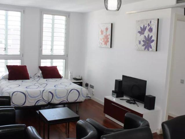 Modern 1 bedroom apartment for rent with central heating and AC in Barceloneta