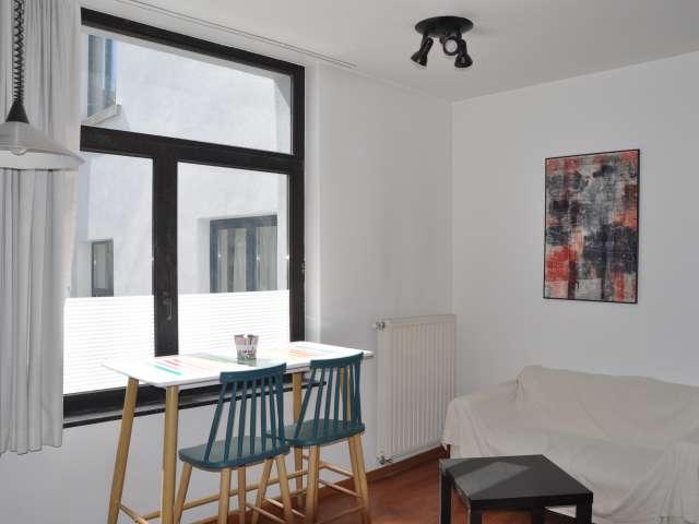 Modern 1 bedroom apartment for rent in Brussels