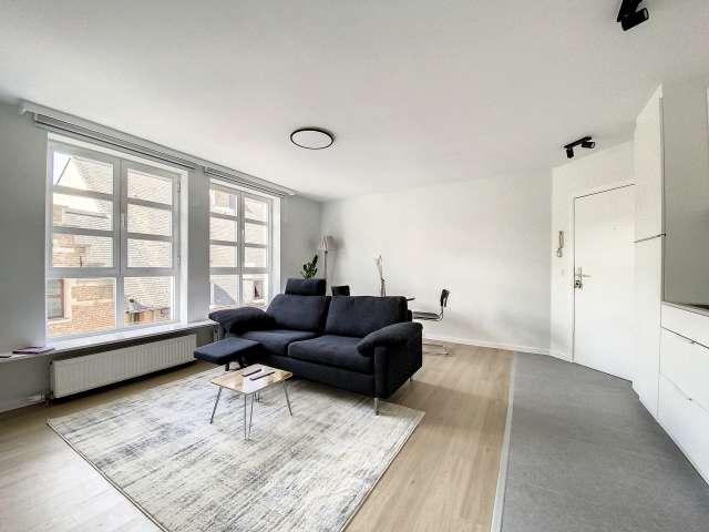 Modern 1 bedroom apartment for rent in Brussels