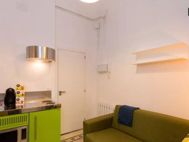 Modern 1 bedroom apartment for rent in City Centre