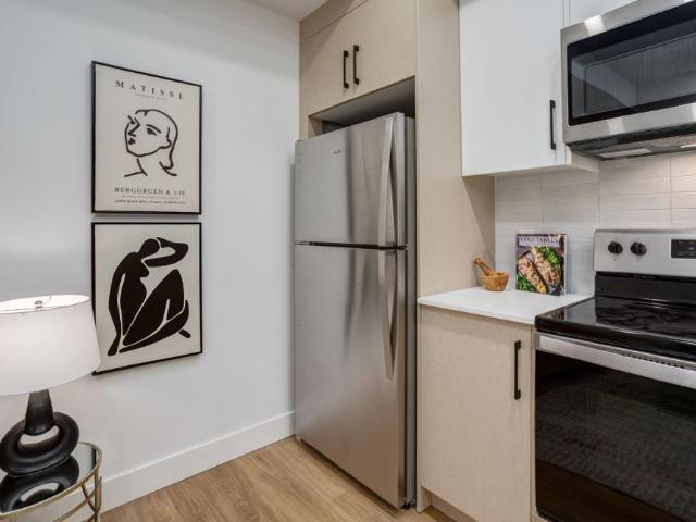 Modern 1 Bedroom Basement Suite Available July 1st