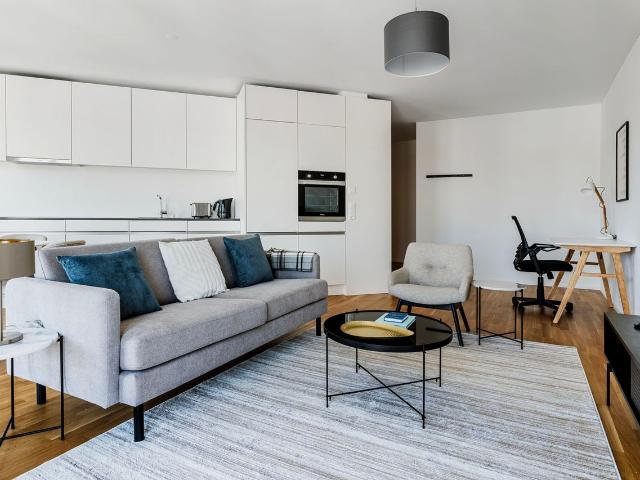 Modern 1 Bedroom Furnished Apartment in Alt Wiedikon, Zurich Amsterdam Apartments for Rent