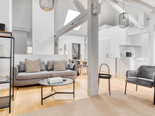 Modern 1 Bedroom Furnished Apartment in Basel Vorstaedte, Basel Amsterdam Apartments for Rent