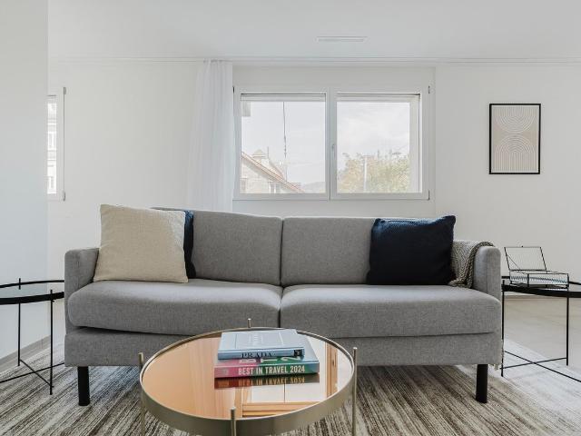 Modern 1 Bedroom Furnished Apartment in Gewerbeschule, Zurich Amsterdam Apartments for Rent