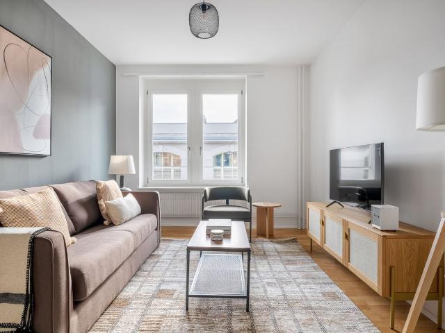 Modern 1 Bedroom Furnished Apartment in Horgen, Horgen Amsterdam Apartments for Rent