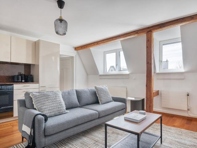 Modern 1 Bedroom Furnished Apartment in Unterstrass, Zurich Amsterdam Apartments for Rent