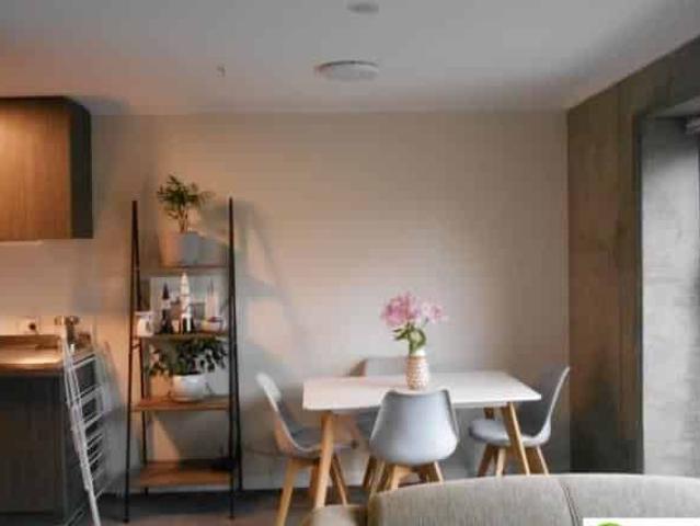 MODERN 1 BEDROOM FRAME APT
