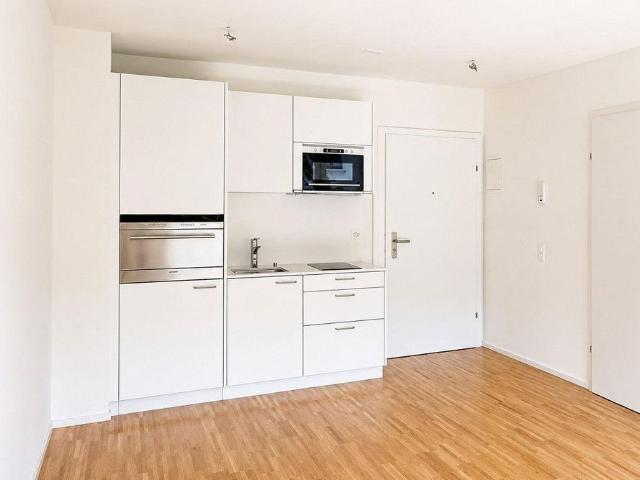 Modern 1 room apartment for rent