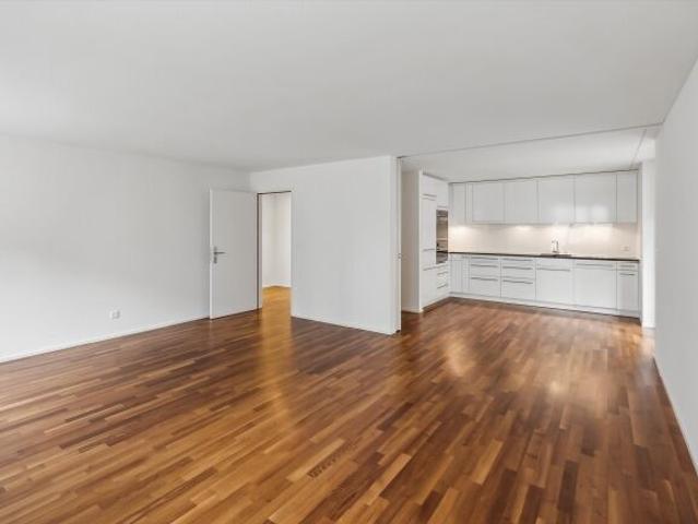 Modern 2.5 room apartment near Schaffhauserplatz
