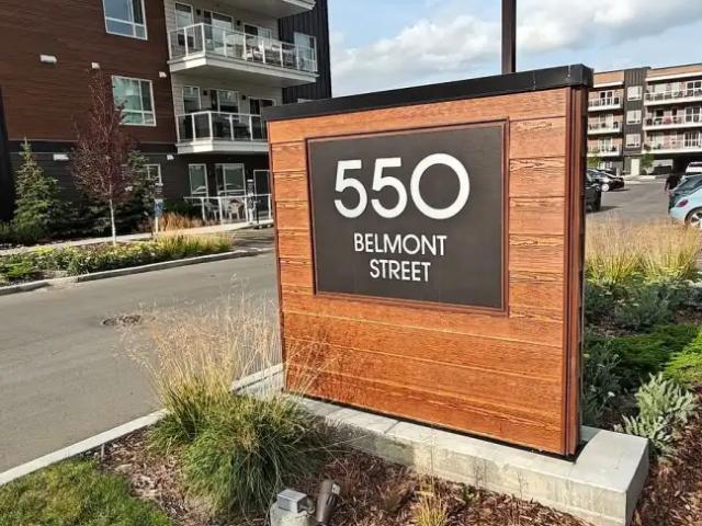 Modern 2 Bed, 2 Bath Condo in Belmont