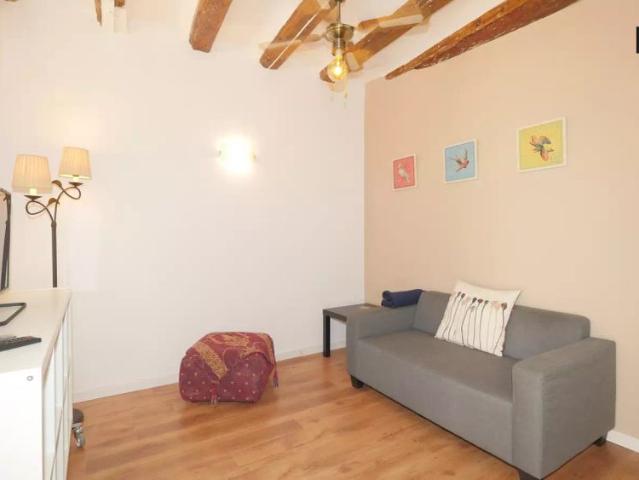 Modern 2 bedroom apartment with balconies for rent in El Raval, Barcelona NO LONG TERM CONTRACTS