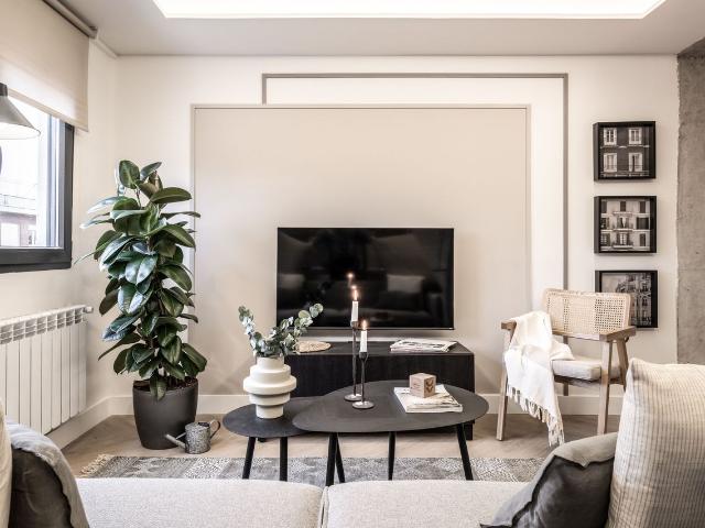 Modern 2 Bedroom Apartment with Designer Furniture and Smart Home Amenities, Madrid Amsterdam Apartments for Rent