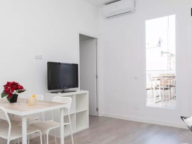 Modern 2 bedroom apartment with terrace for rent in central Lavapiés, near metro