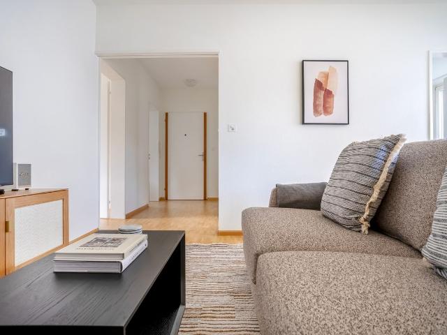 Modern 2 Bedroom Furnished Apartment in Allschwil, Allschwil Amsterdam Apartments for Rent