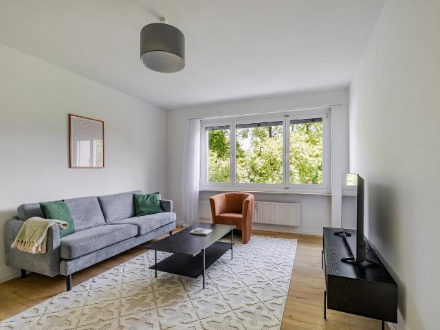 Modern 2 Bedroom Furnished Apartment in Basel Vorstaedte, Basel Amsterdam Apartments for Rent