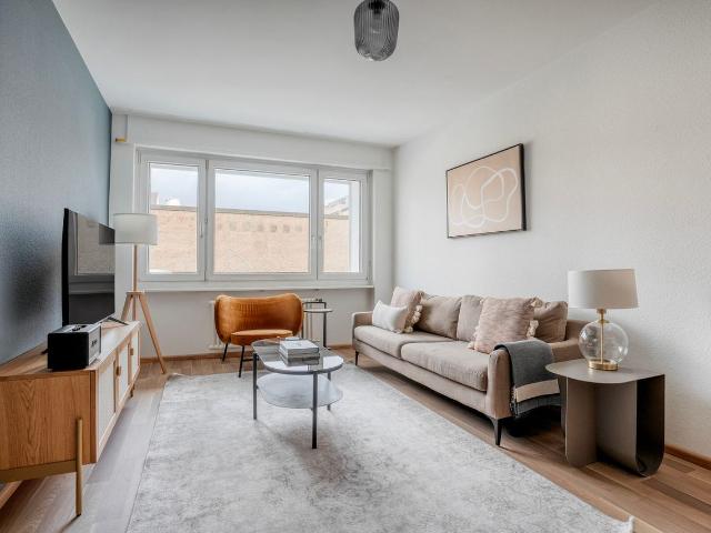 Modern 2 Bedroom Furnished Apartment in Gundeldingen, Basel Amsterdam Apartments for Rent