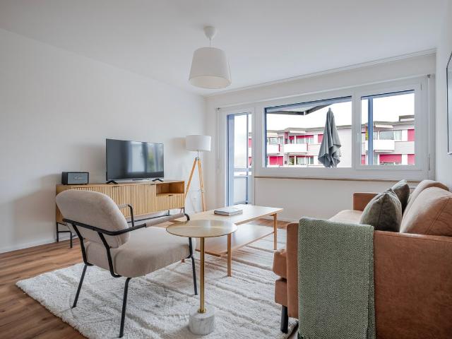 Modern 2 Bedroom Furnished Apartment in Dietikon, Dietikon Amsterdam Apartments for Rent