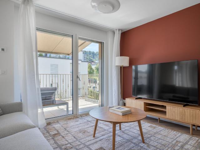 Modern 2 Bedroom Furnished Apartment in Friesenberg, Zurich Amsterdam Apartments for Rent
