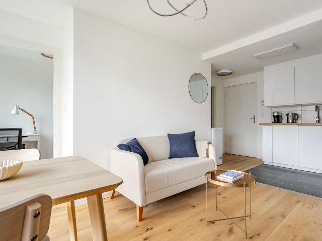 Modern 2 Bedroom Furnished Apartment in Hard, Zurich, Zurich Amsterdam Apartments for Rent