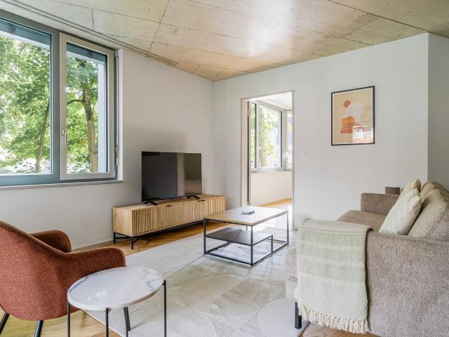 Modern 2 Bedroom Furnished Apartment in Saatlen, Zurich Amsterdam Apartments for Rent