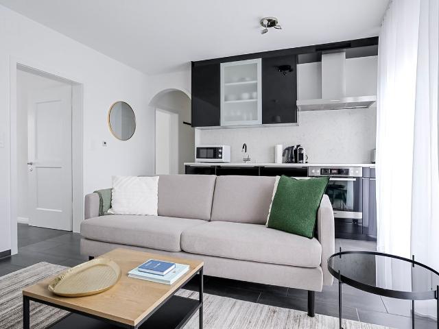 Modern 2 Bedroom Furnished Apartment in Seefeld, Zurich Amsterdam Apartments for Rent